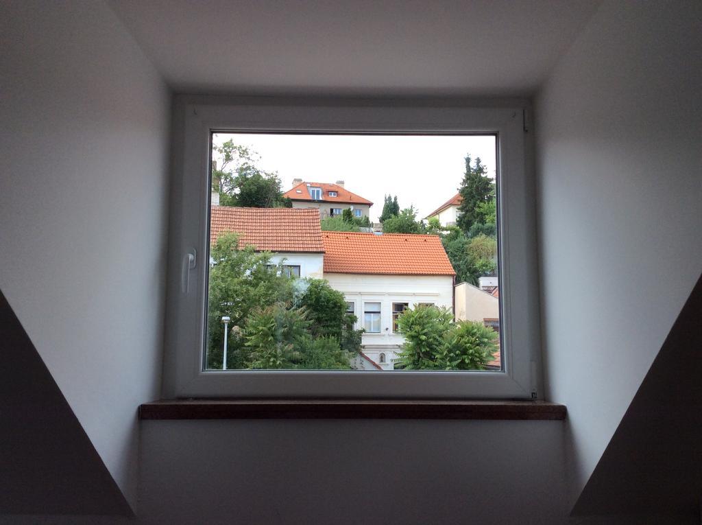 Lev I Sova * Praha