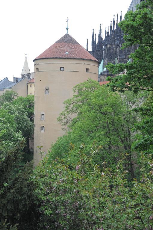 Garden Grape House * Prag