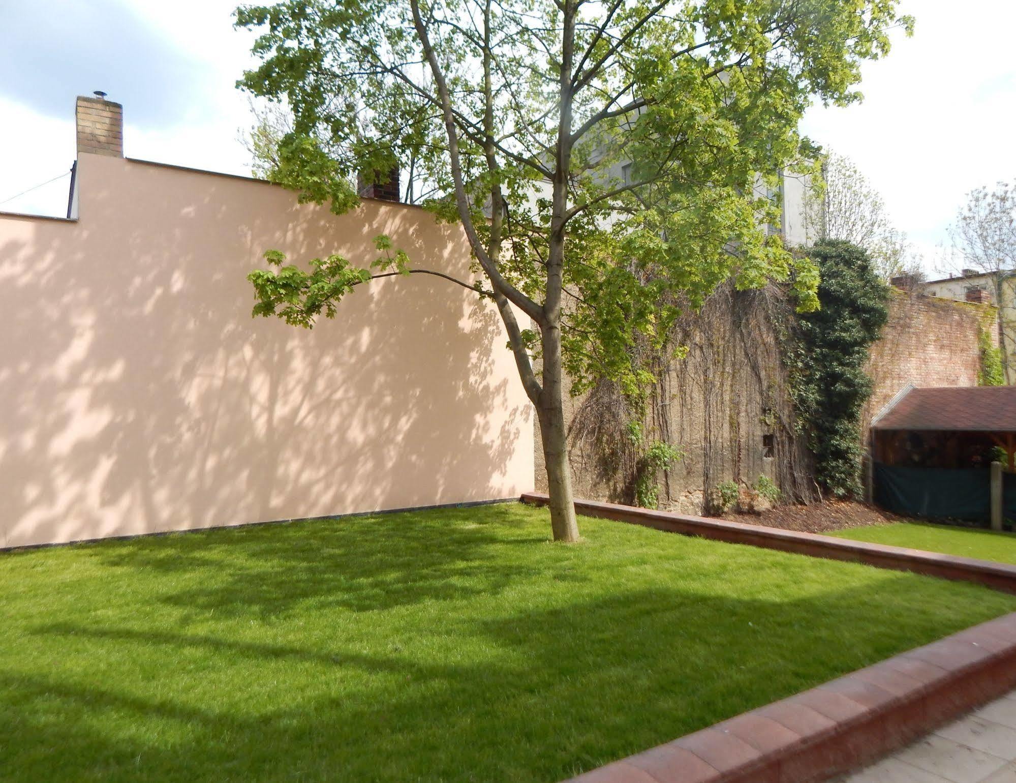 Garden Grape House Apartment