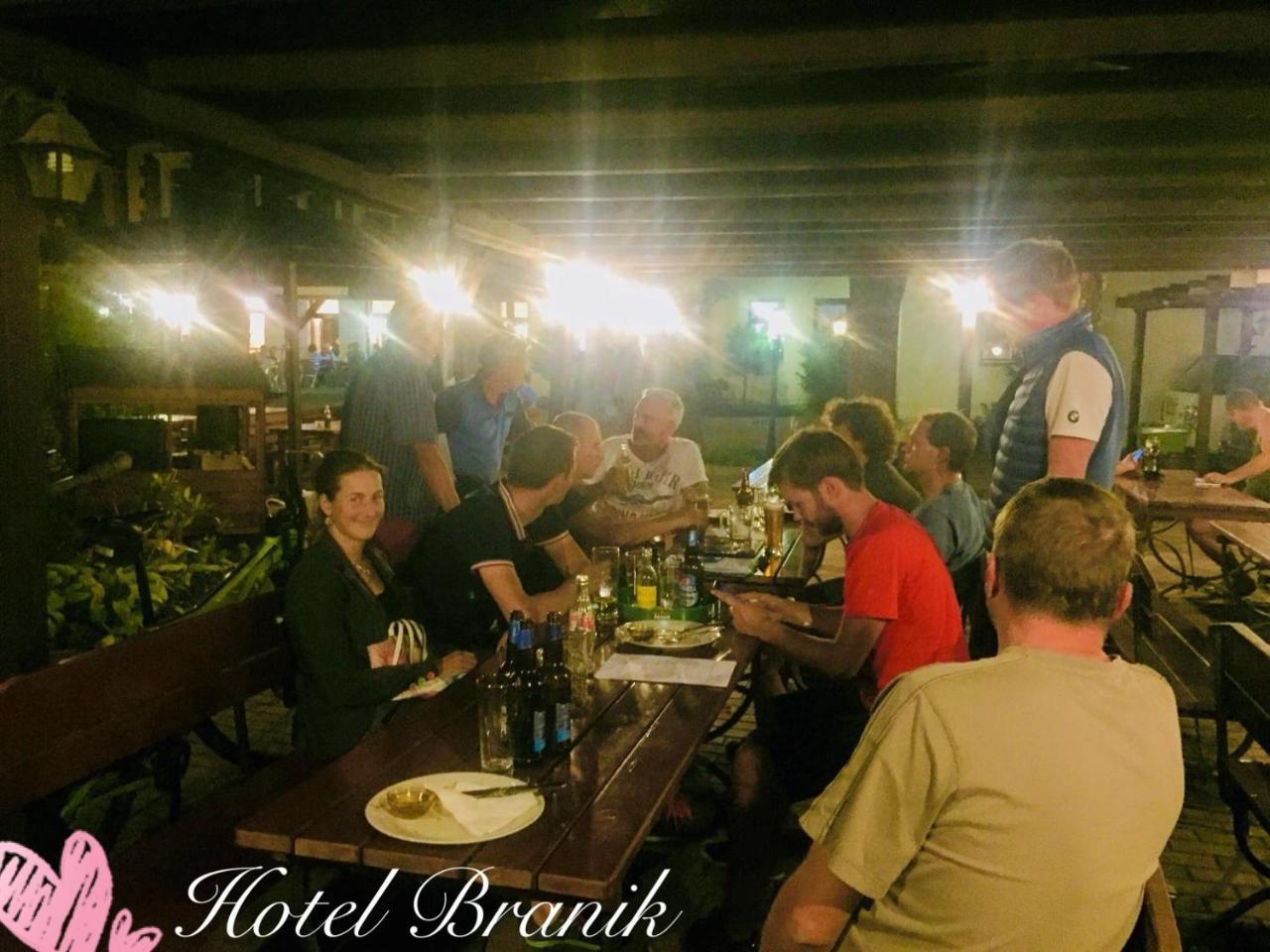 Hotel Branik