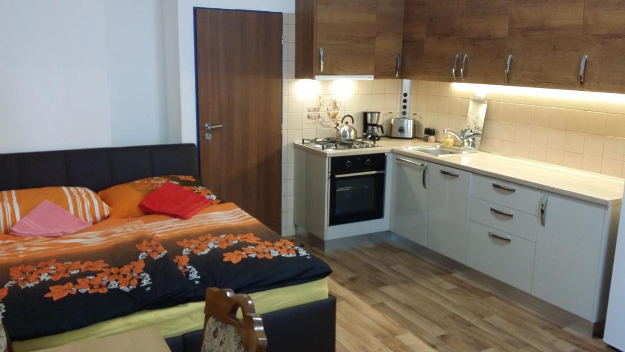 Room&kitchen Next To Castle Pensionat Prag