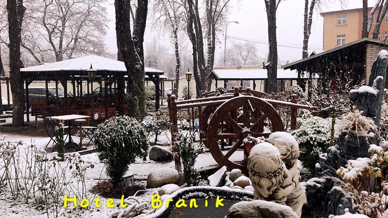 Hotel Branik