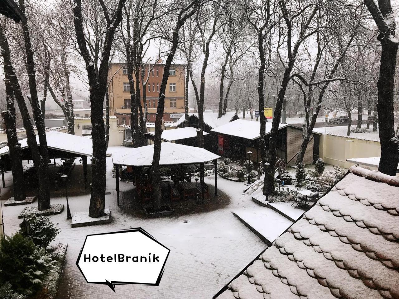 Hotel Branik 3*