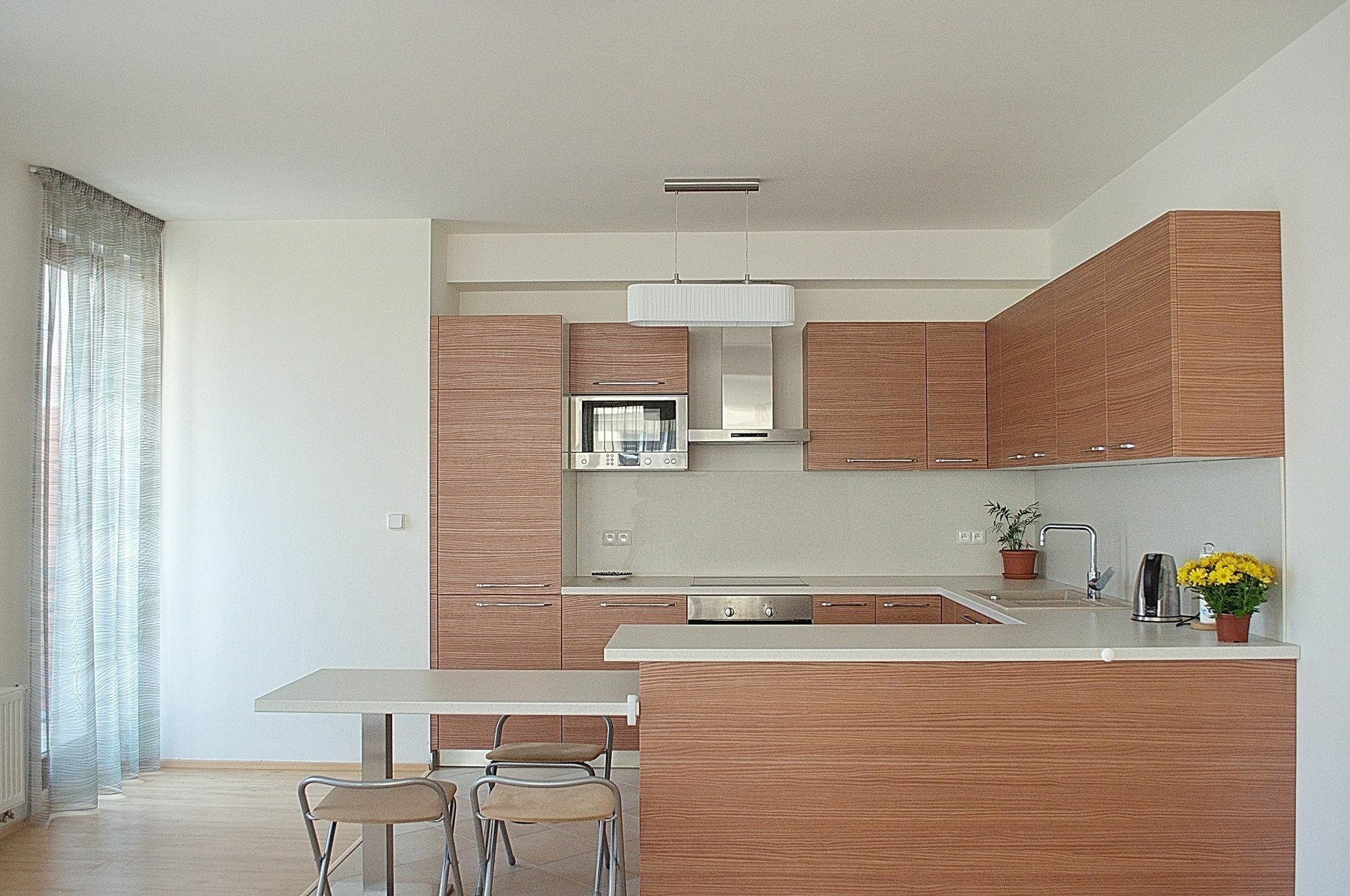 Bright Spacious Apartment