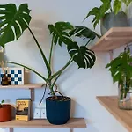 Maly Utulny Byt S Balkonem A Projektorem