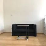 Studio Apartment In Viktoria Zizkov