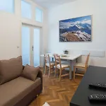 Modern Apartment Navratilova II