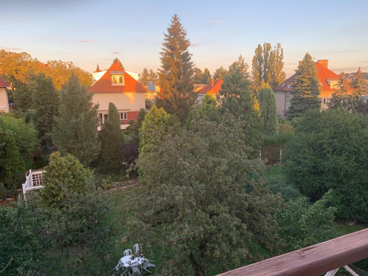 Sarka Prague