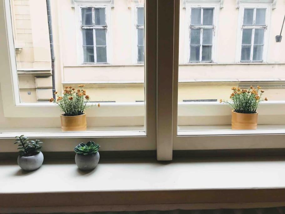 Golden Sunny Apartment, Centre, For 3 People *