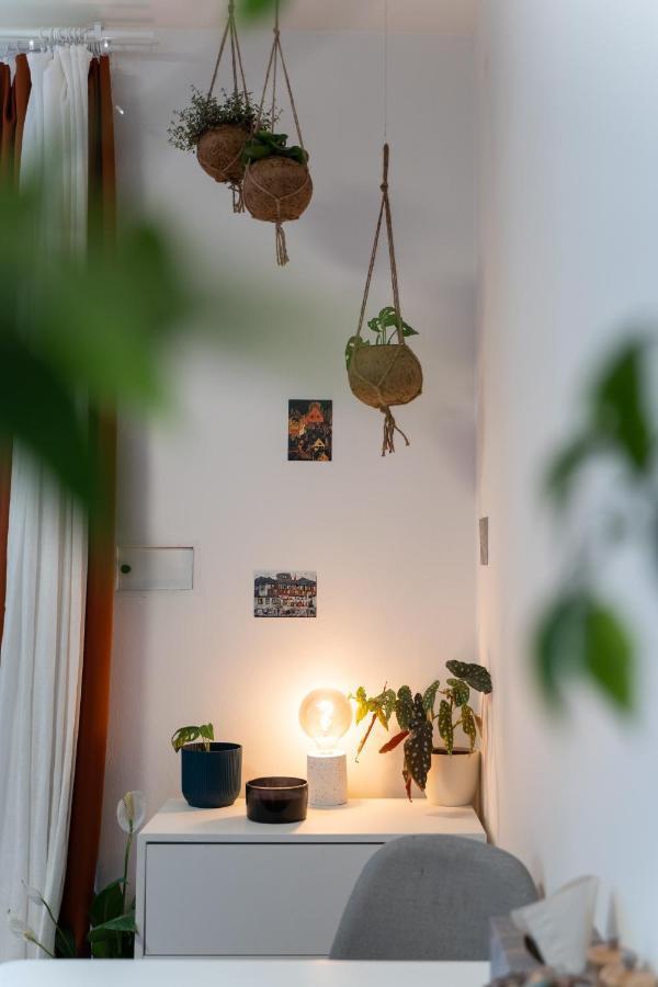 Maly Utulny Byt S Balkonem A Projektorem