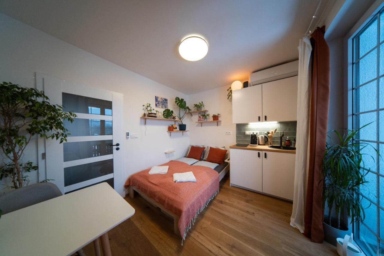 Maly Utulny Byt S Balkonem A Projektorem