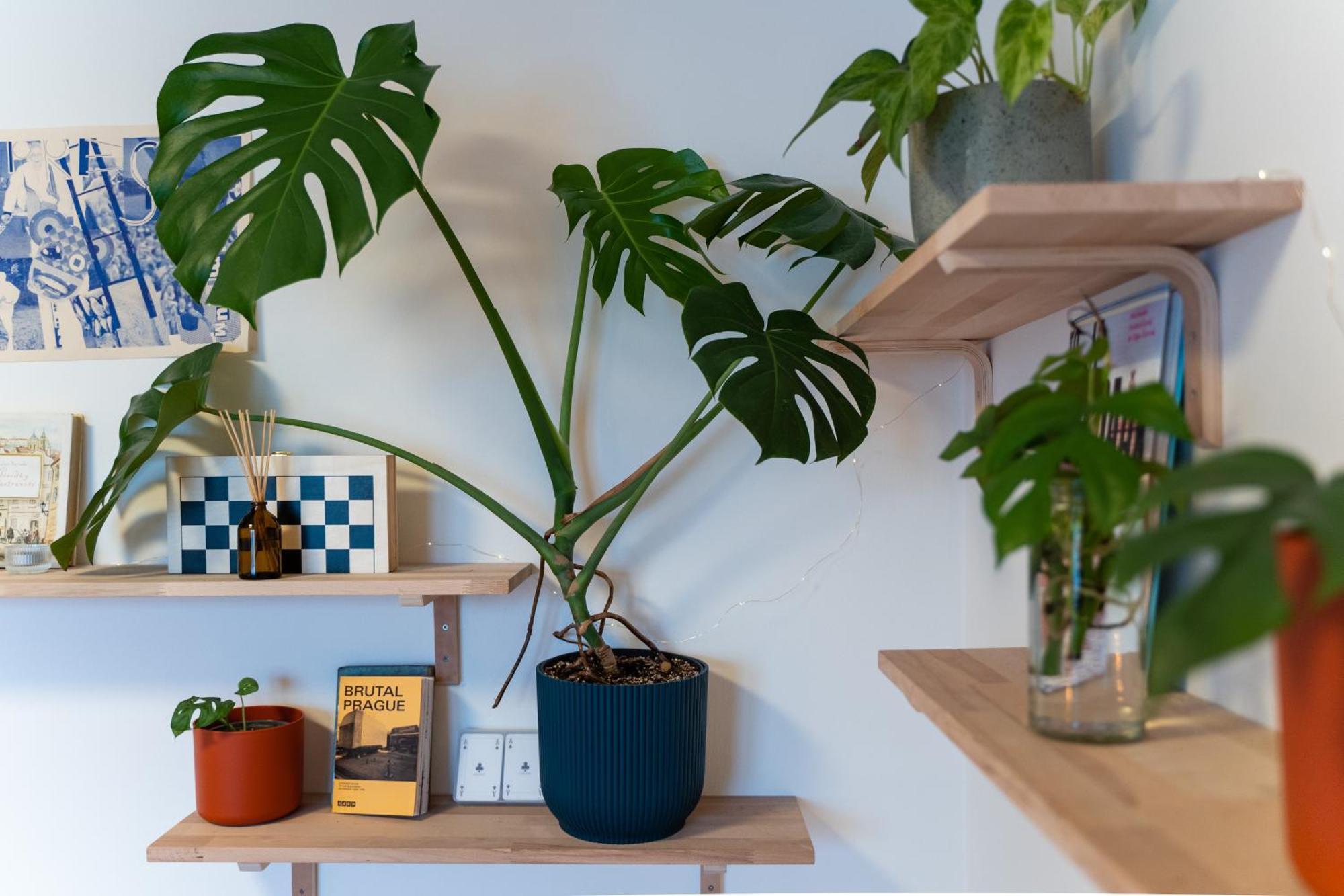 Apartment Maly Utulny Byt S Balkonem A Projektorem