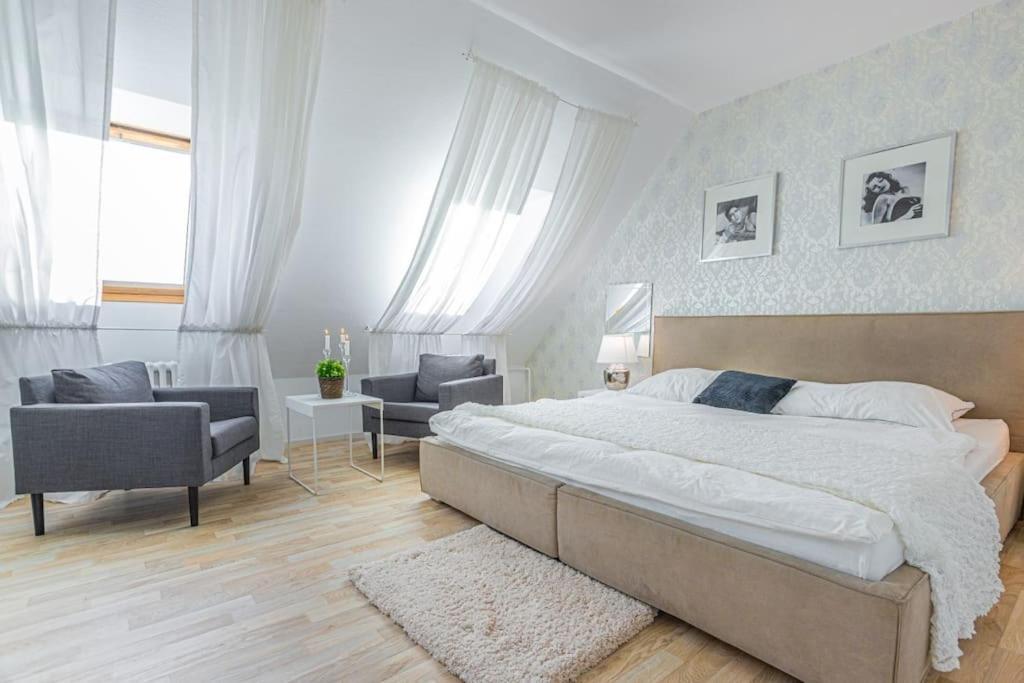 Lejlighed Tamara With Air-conditioning And Parking Prag