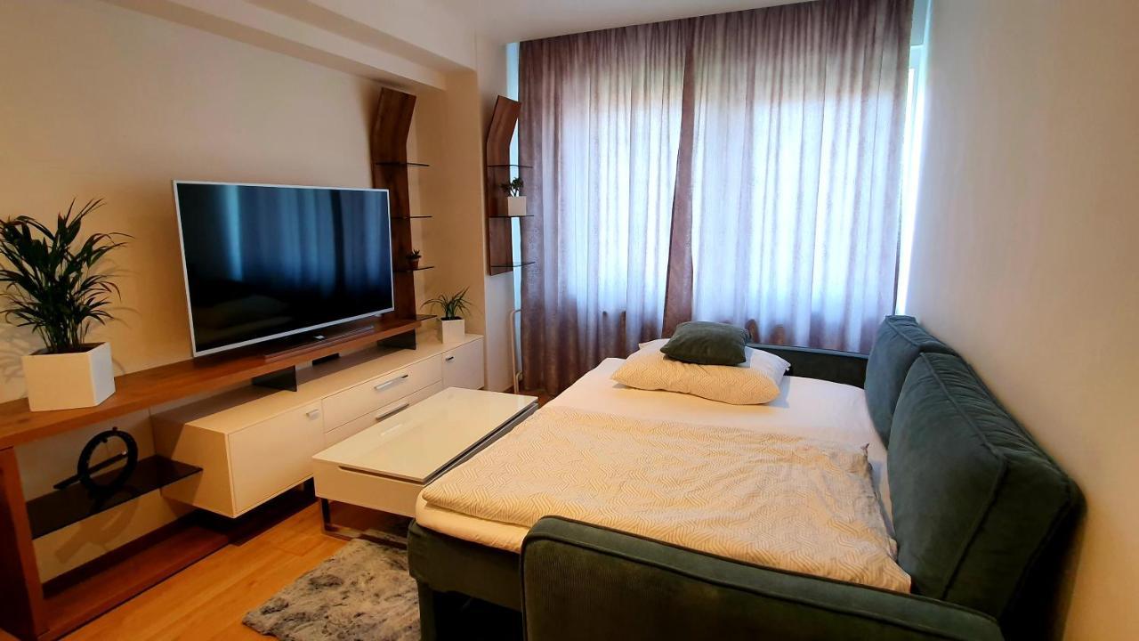Luxury Vbloku Apartment
