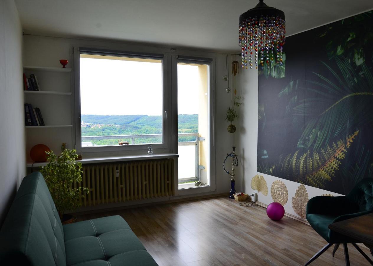 Between Baroque And Jungle 16' Airport 8' Downtown Apartment