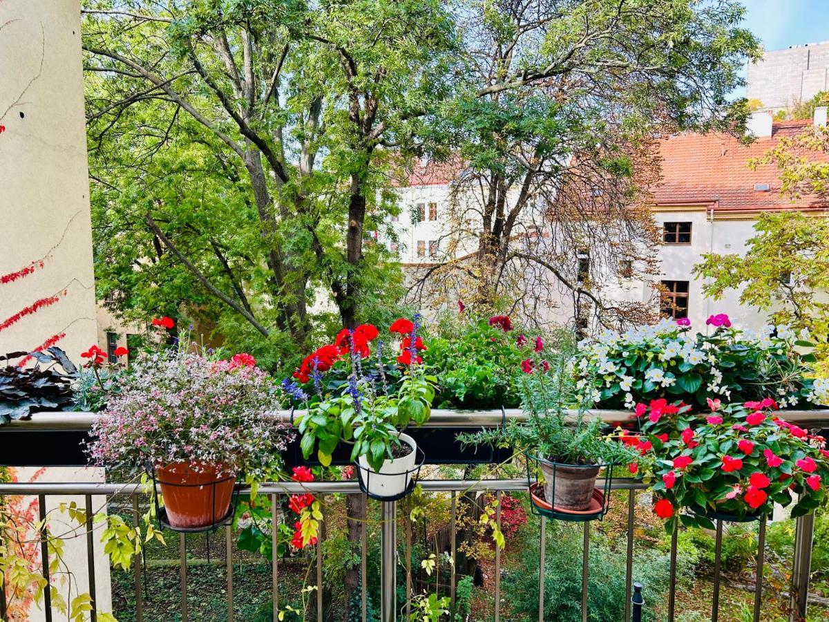 Balcony & King Size Bed Lejlighed Prag