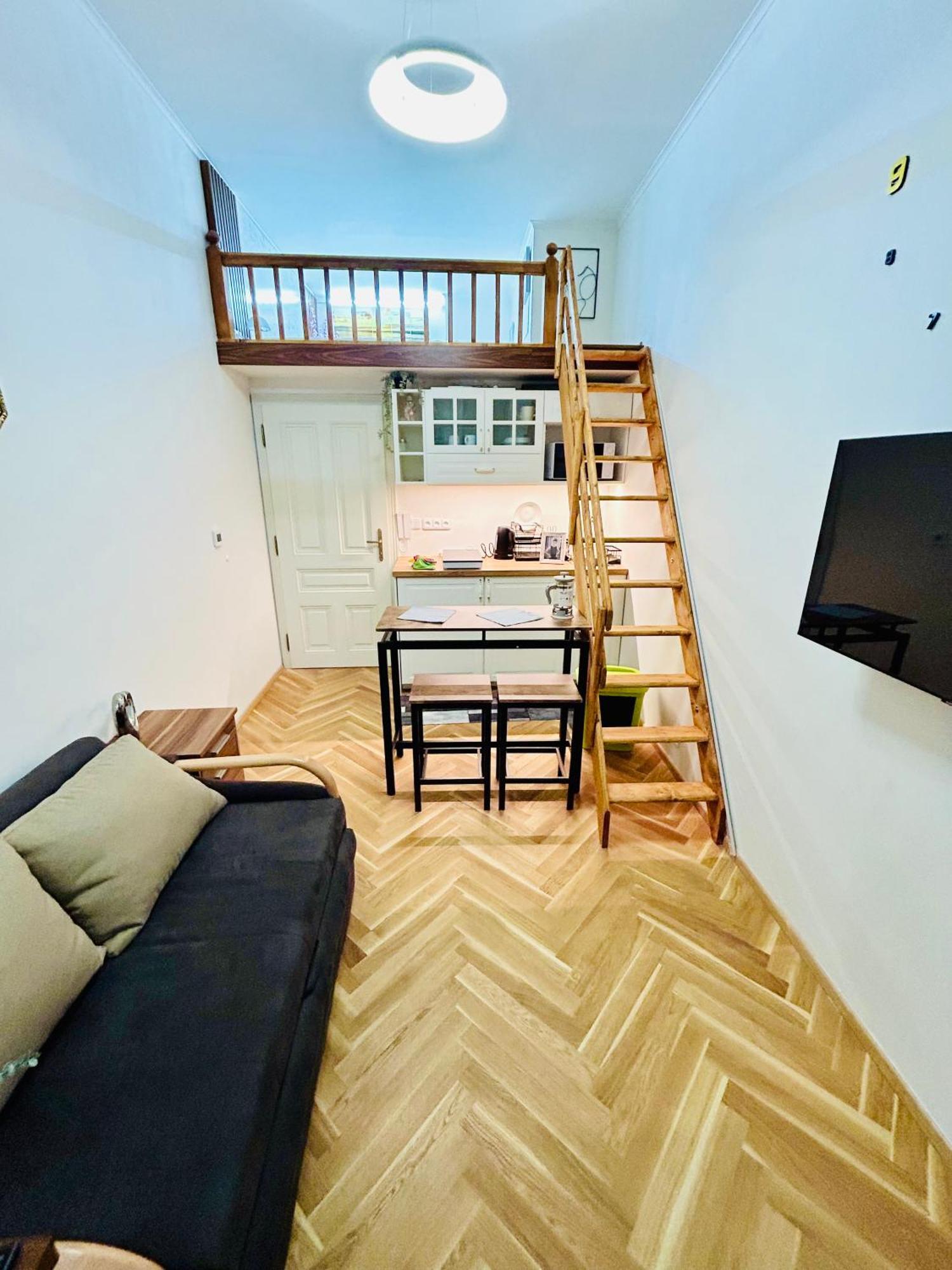 Apartment Cozy Design With Terrace *