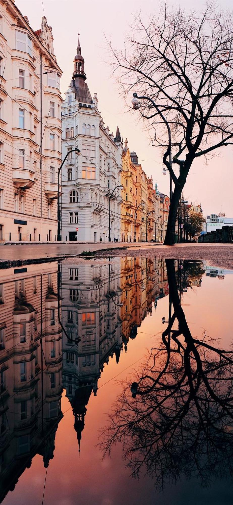 Apartmán Center Of 369 Praha