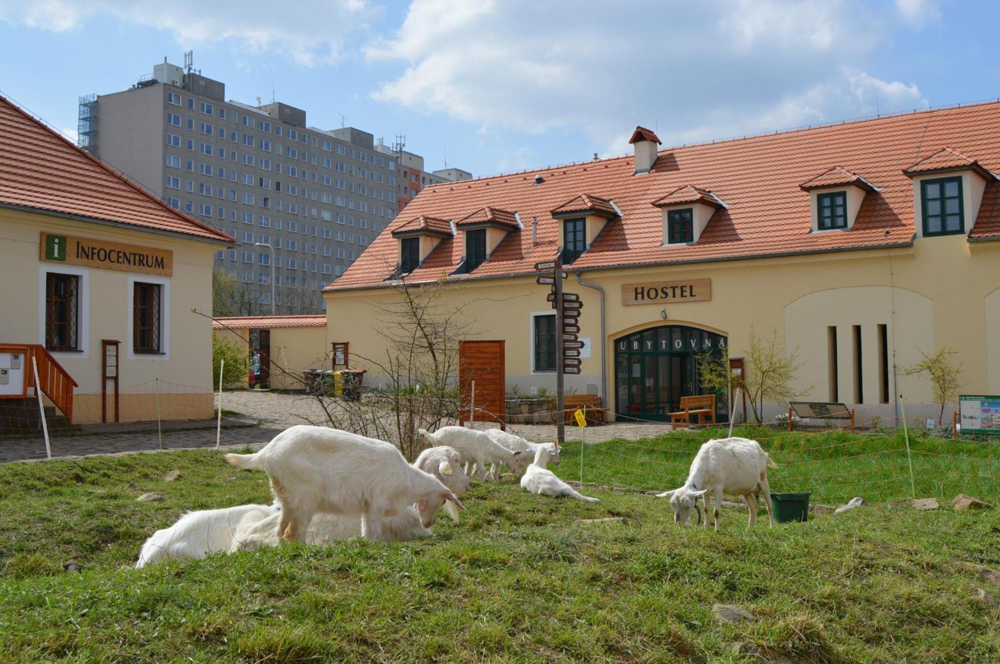 Toulcuv Dvur * Prag