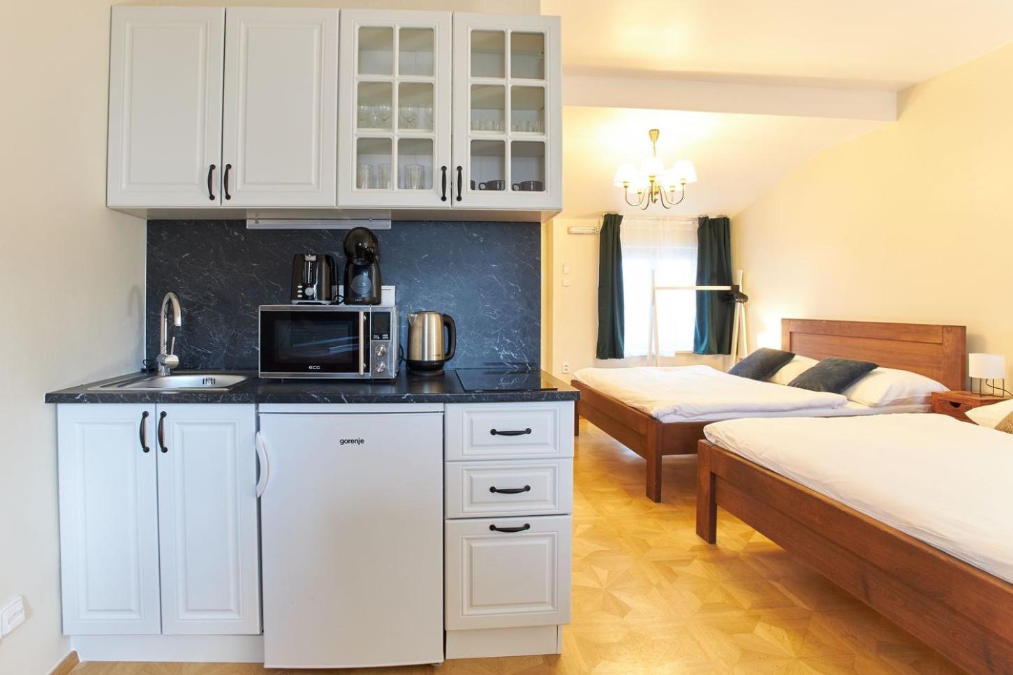 River View By Charles bridge Apartment