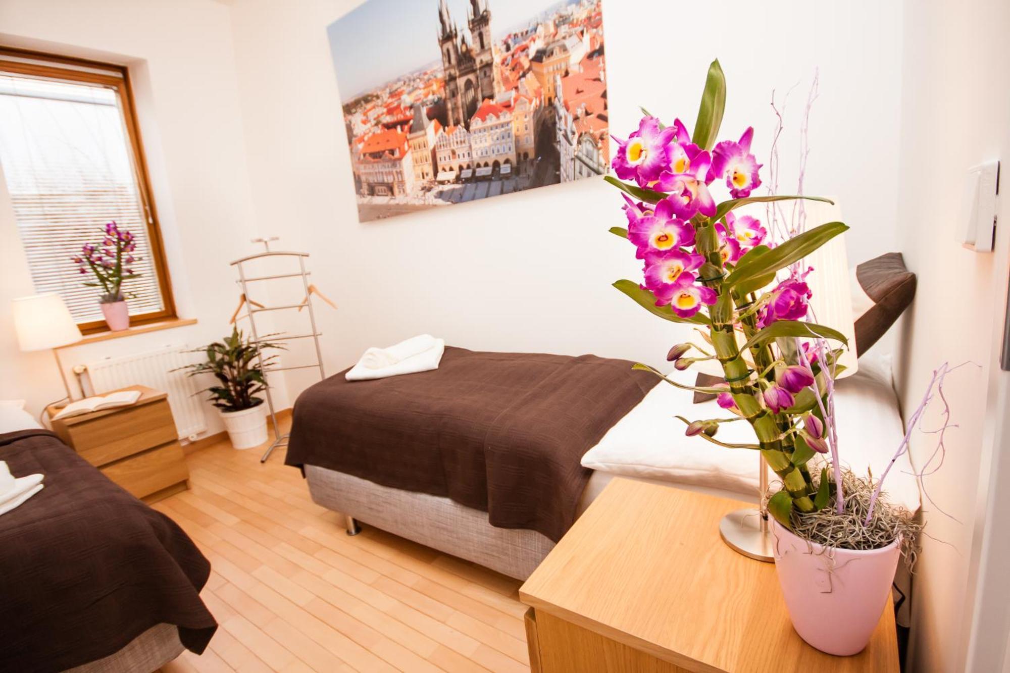 Wenceslas Square Lofts Lägenhet *