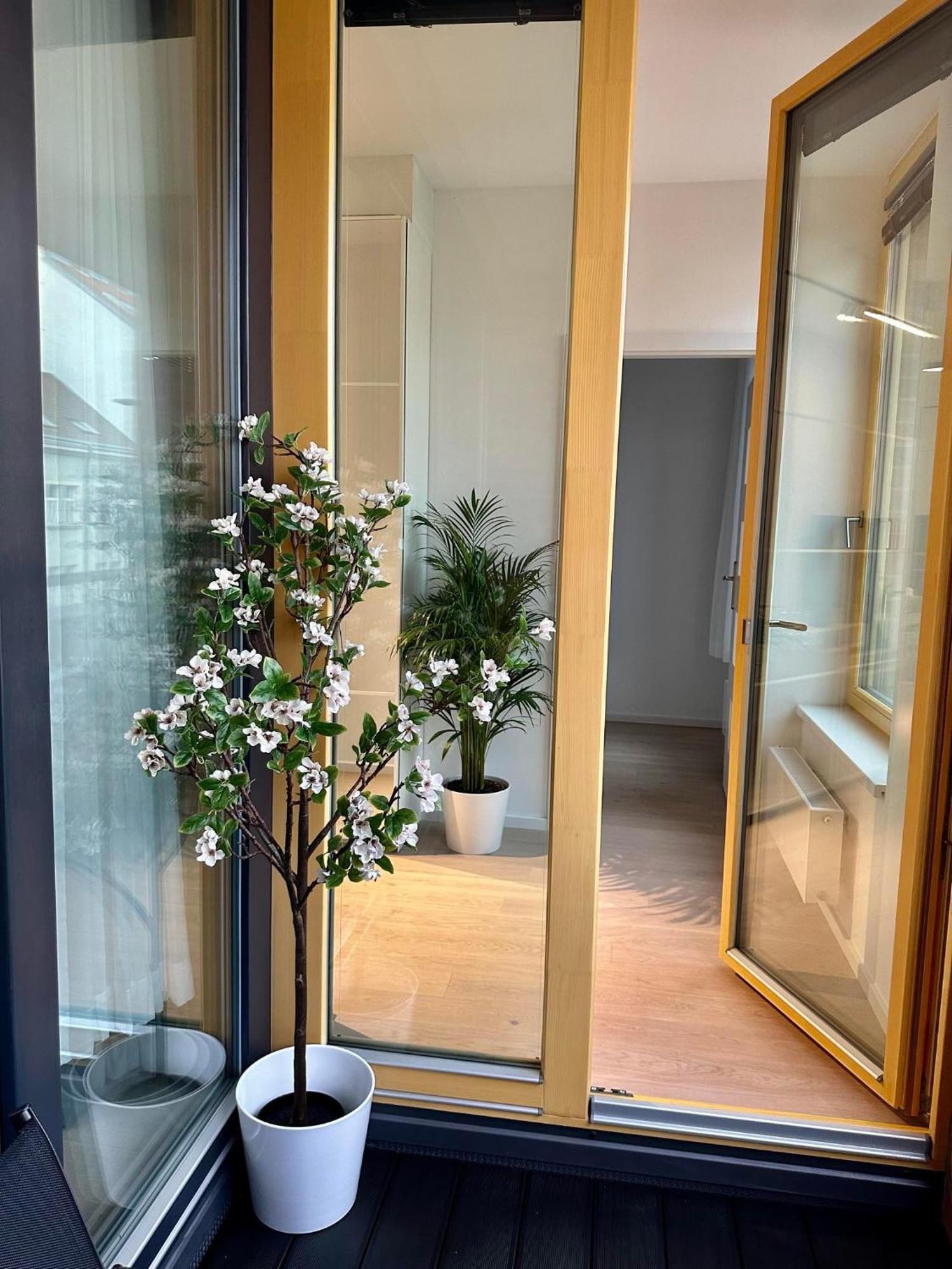 The Peony In Smichov, 5