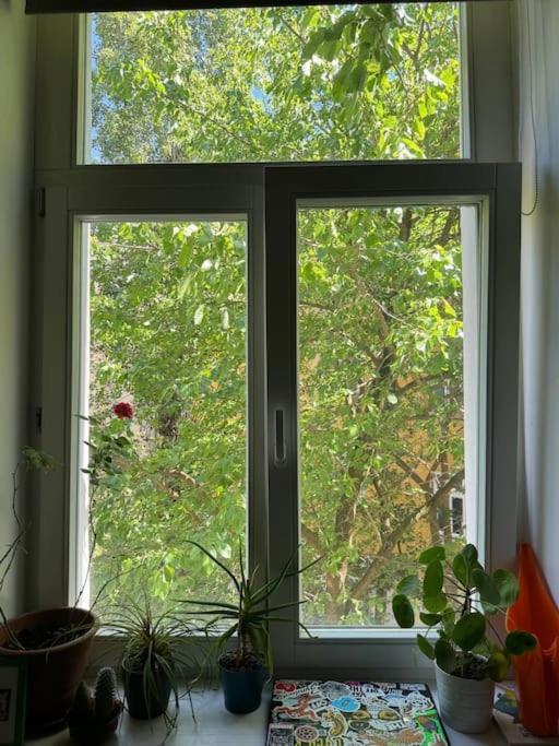 Cozy Karlin Lägenhet