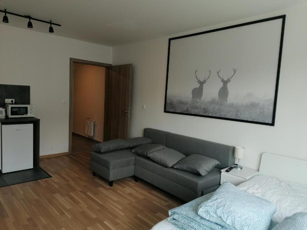 Brand New Two #23 With Free Parking In The Center * Praha