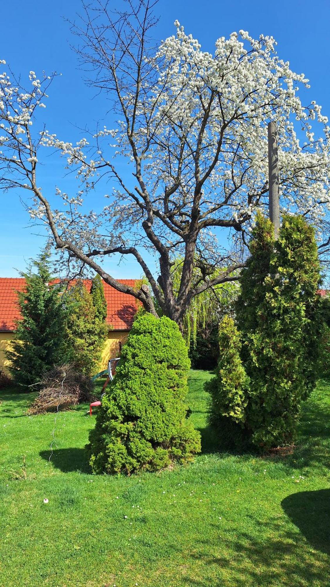 Zbraslav Old Garden