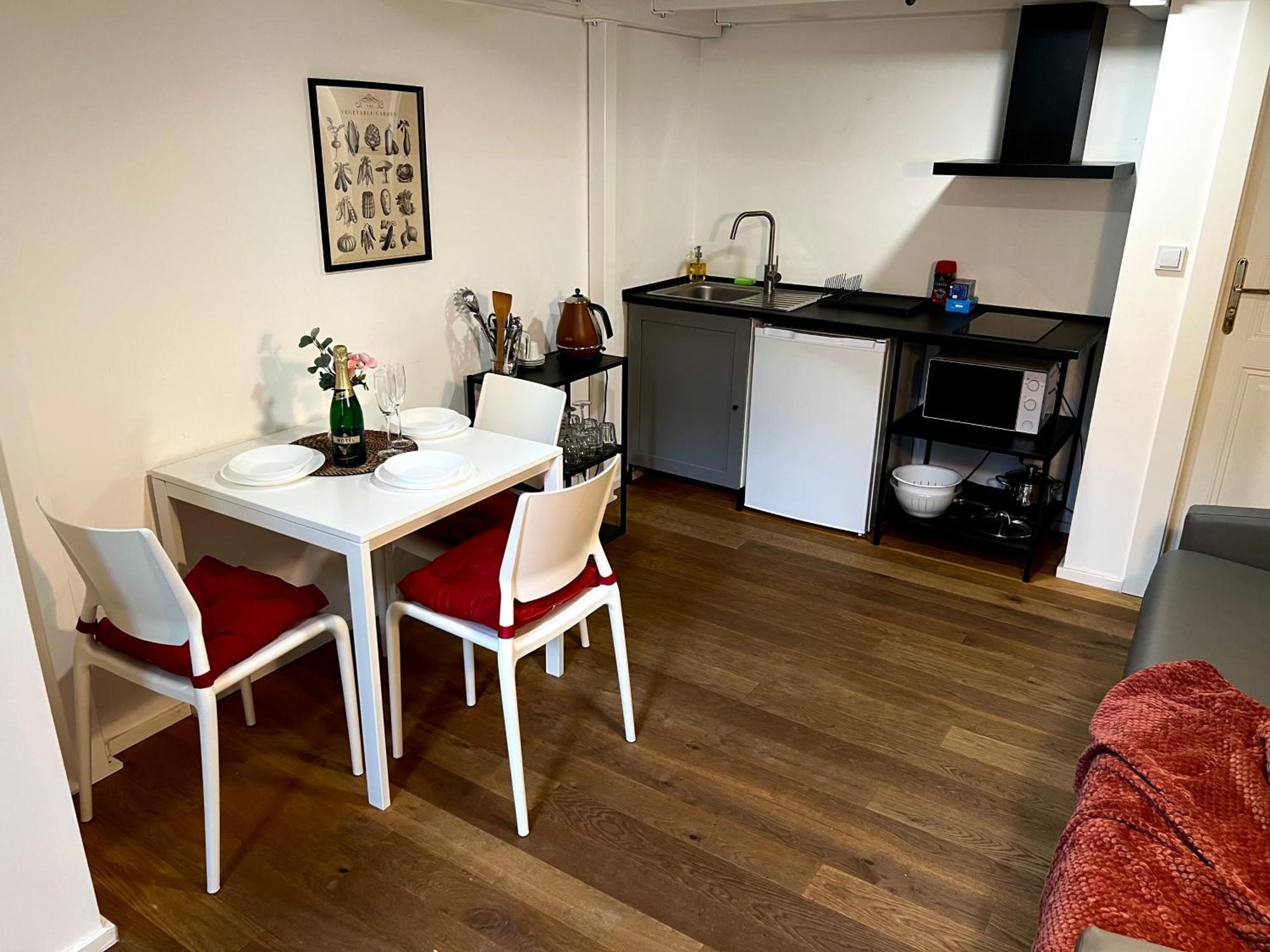 Opletalova 1min From Wenceslas Square * Prag