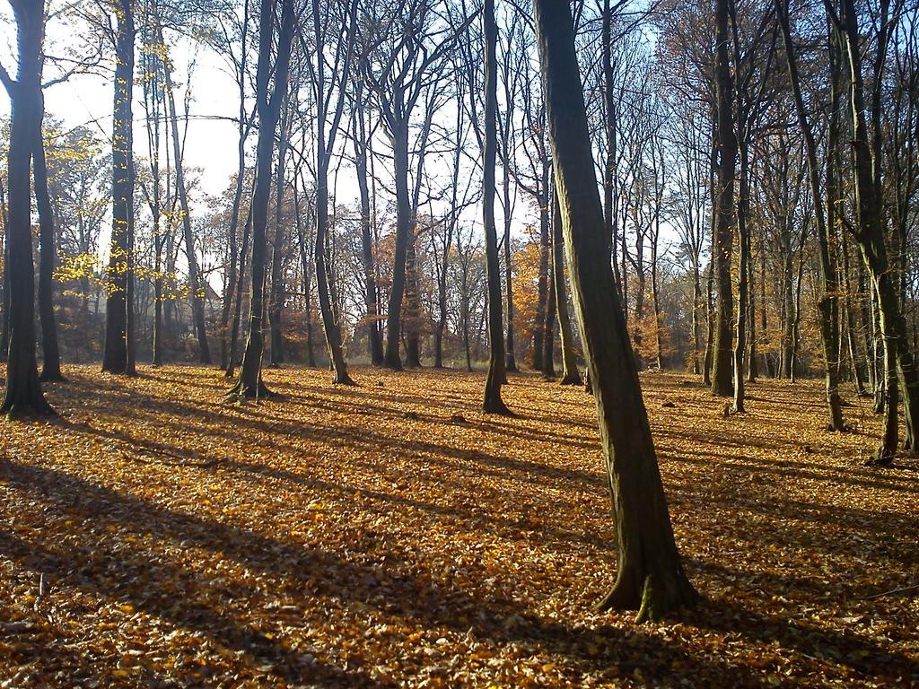 Chodov Apartmán *