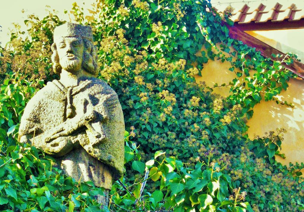 Garden Castle Lejlighed