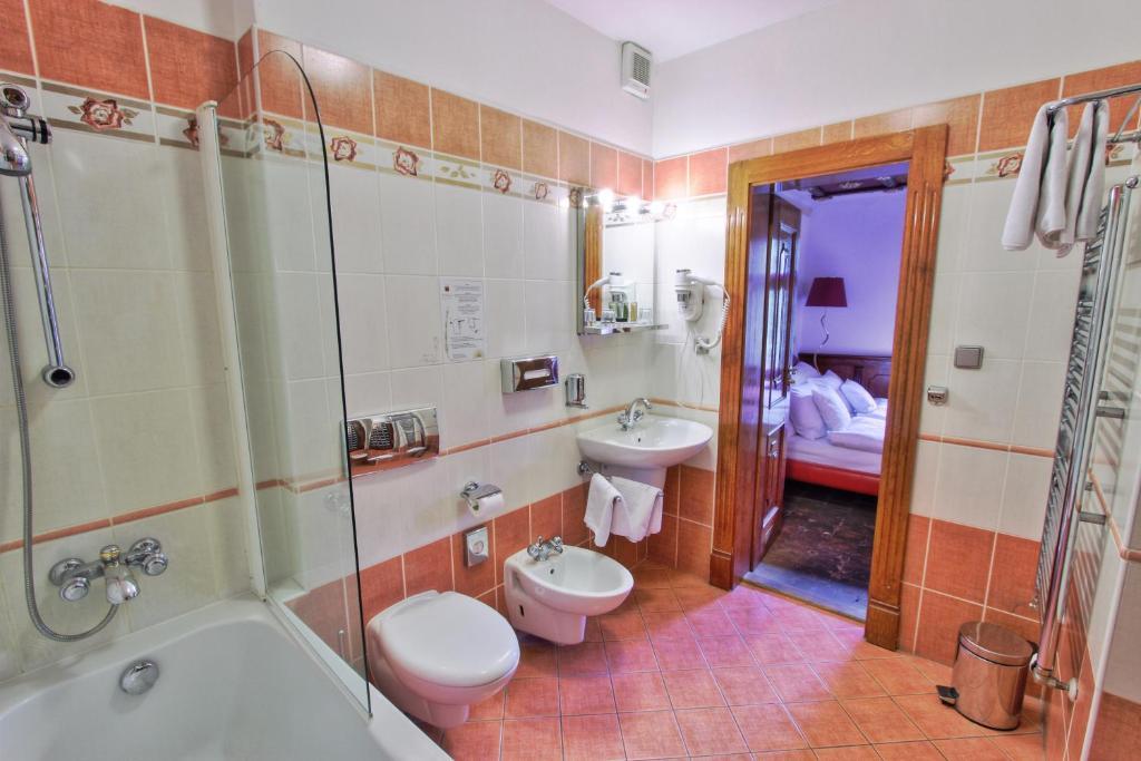 Hotel U Pava 4*