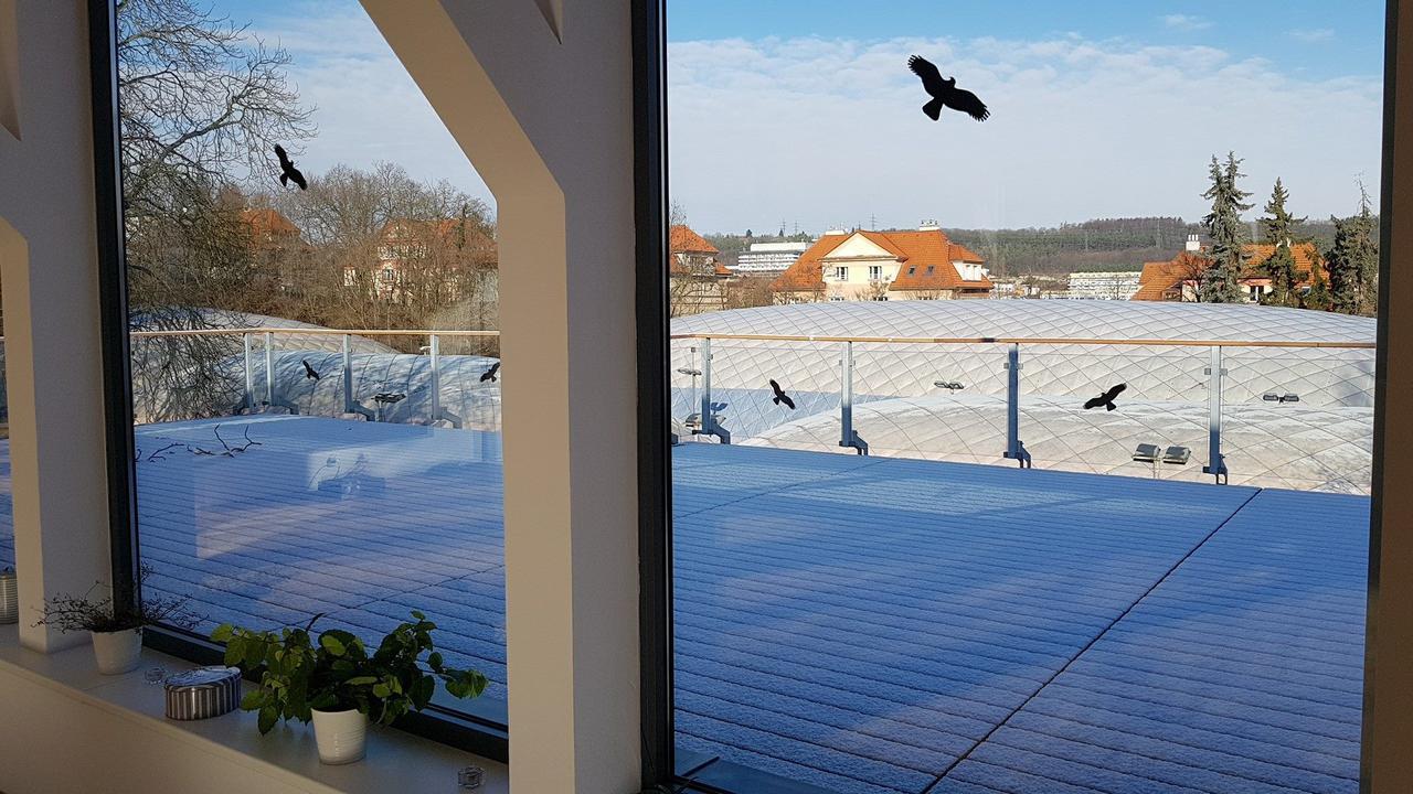 Sport Cibulka Rum i privatbostad Prag