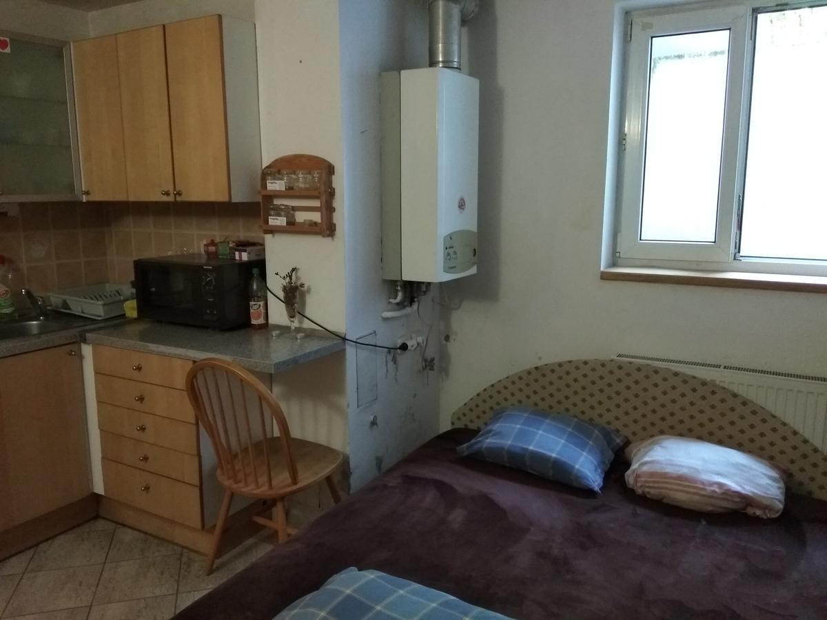 Branik Garden Hostel *