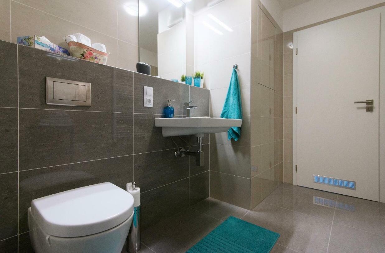 Free Parking In Garage Karolina Plazza, New Cosy With Need Apartment Prague