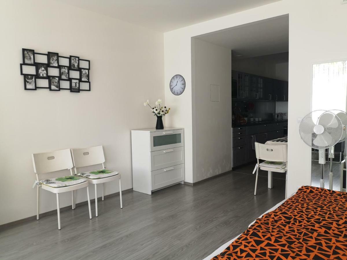 And Refreshing Flat In Apartment